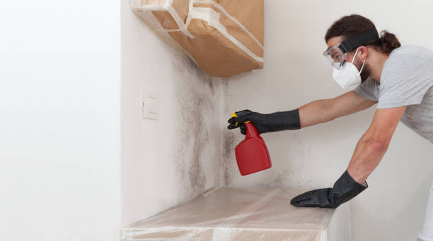 Professional Mold Remediation technician working in Pompano Beach, FL